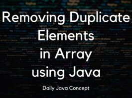Removing Duplicate Elements in Array using Java
